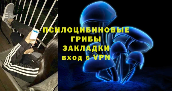 MESCALINE Инта